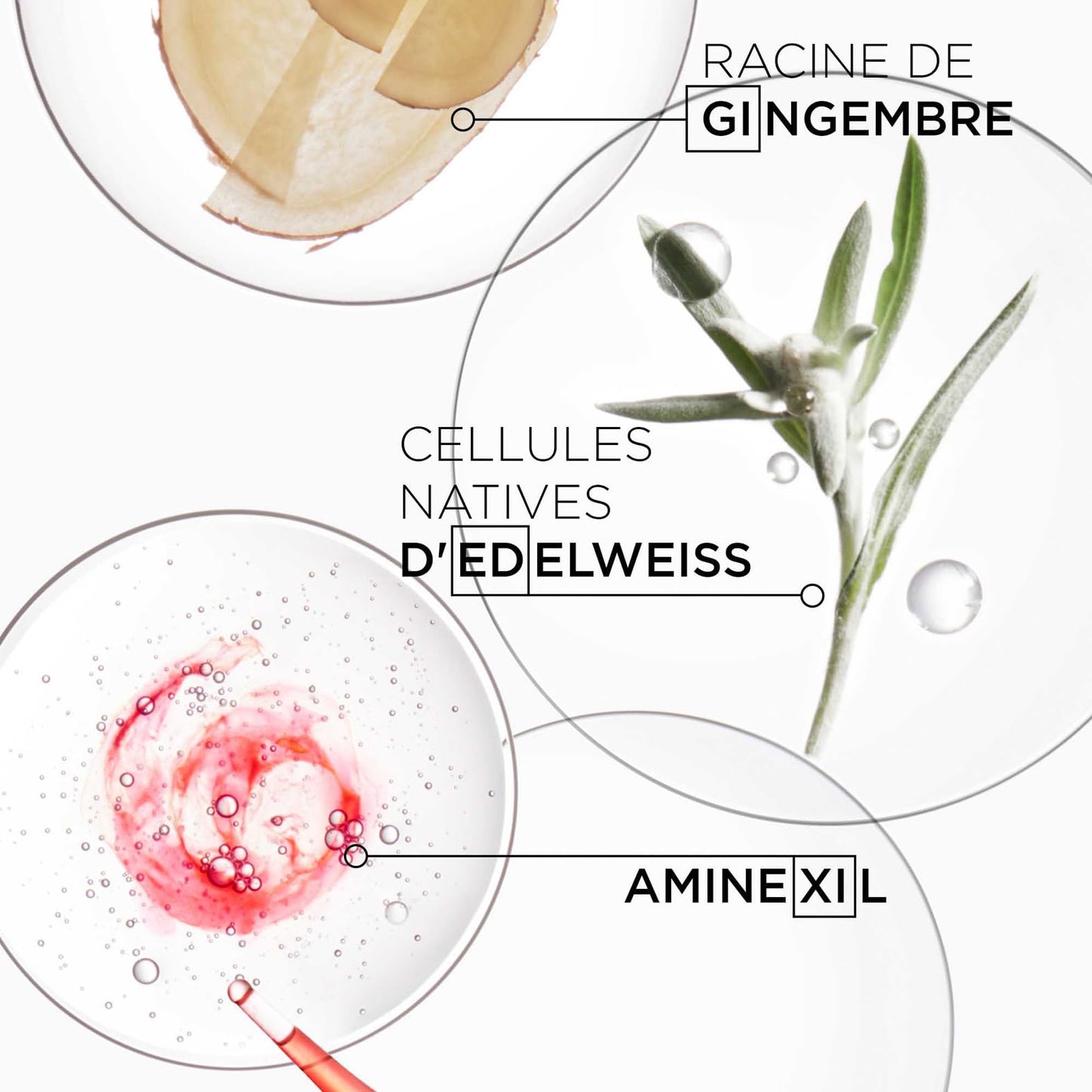 Sérum Nourissant & Anti-Casse pour Cheveux Fragiles